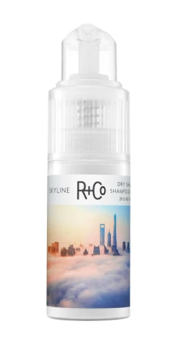 pol_pl_R-Co-SKYLINE-Dry-Shampoo-Powder-Szampon-w-pudrze-odswiezajacy-i-nadajacy-objetosc-28-g-10439_1.webp