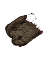 ee.jpg
