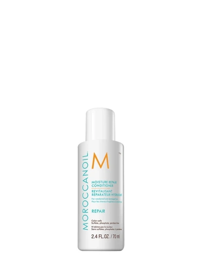 moisture_repair_conditioner_70ml_3.webp